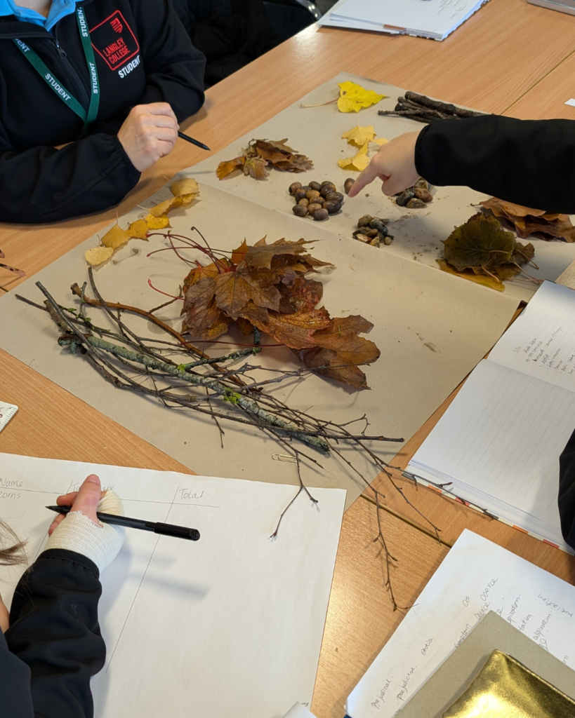 Close up of leaves on a table with learners hands picking them up